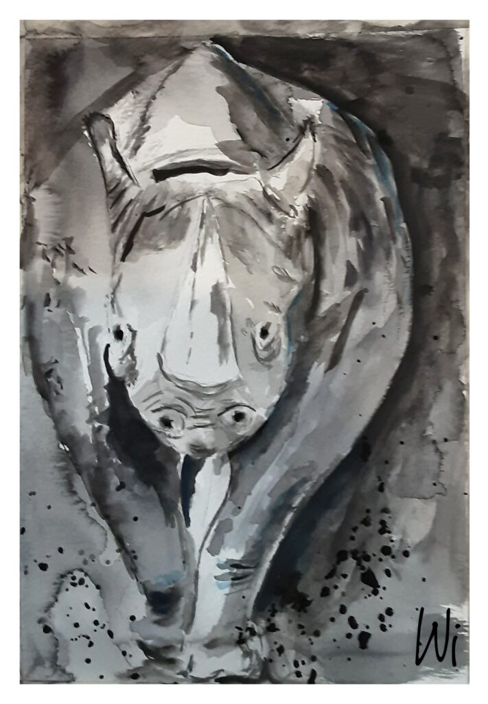 Nashorn von vorn, Aquarell, 21x29,7 cm