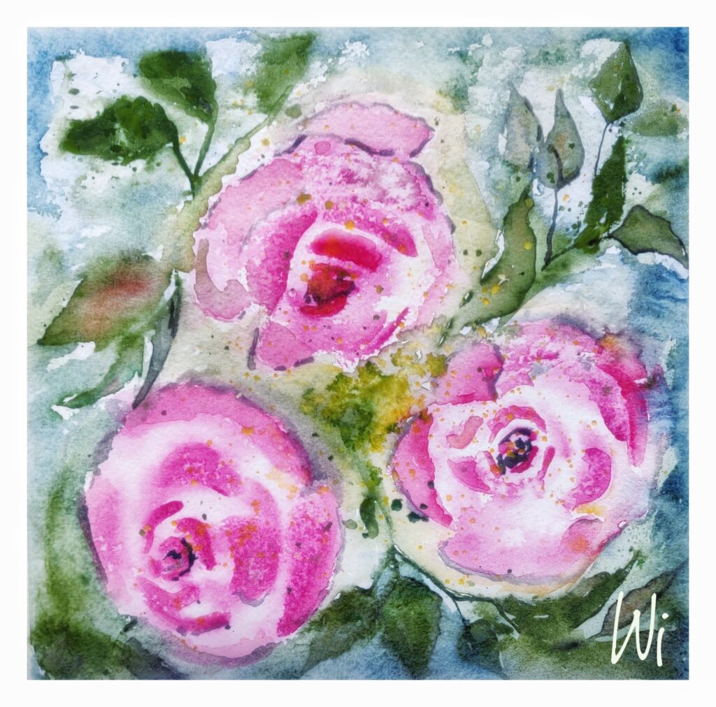 drei rosa Rosenblüten, Aquarell, 20x20 cm
