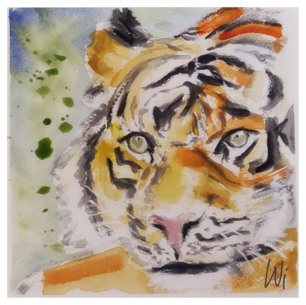 "WildesLeben", Tiger, Aquarell, 29x20 cm