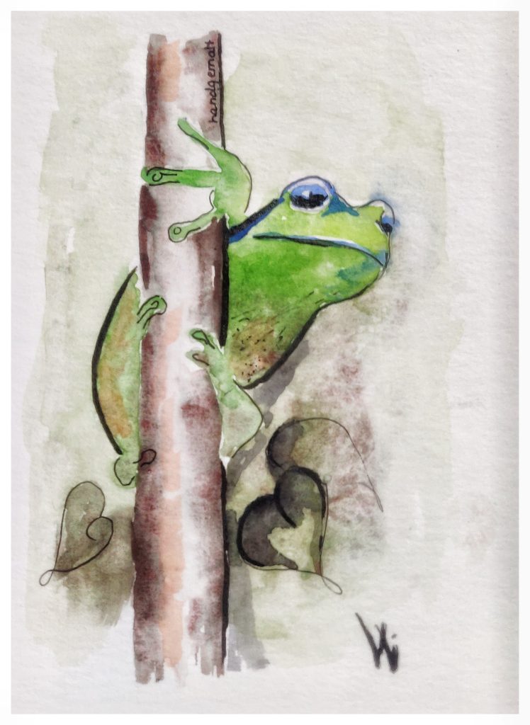 Frosch, Aquarellmalerei, Postkarte