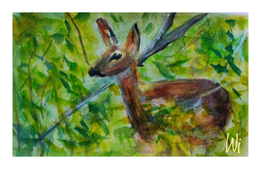 Reh im Wald, Aquarell, Sketchbook DinA5