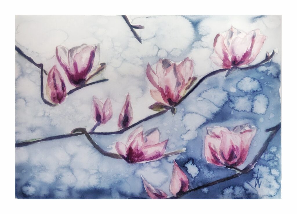 Magnolie, Wasserfarbe, 36x26 cm