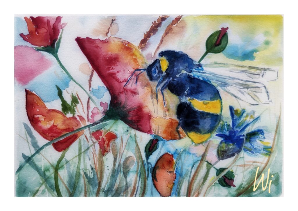 Biene im Mohn, expressiv, Aquarellmalerei, 36x26 cm