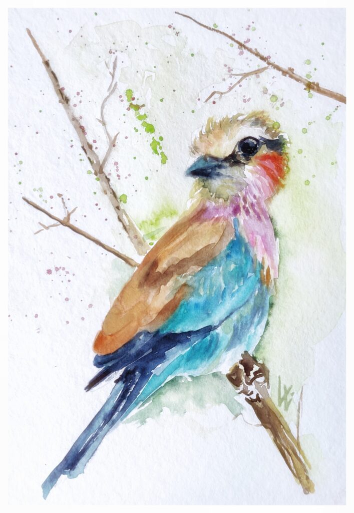 Kleiner, bunter Vogel, Aquarellmalerei, 17x24 cm