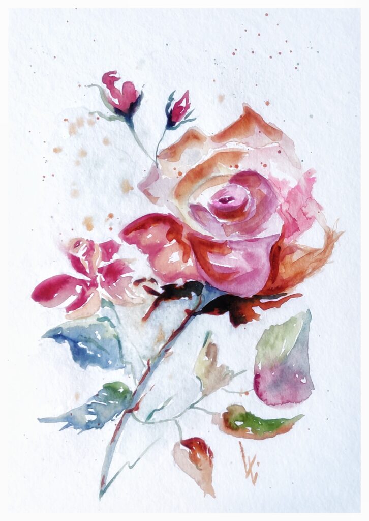 Rose, Aquarellmalerei, 17x24 cm