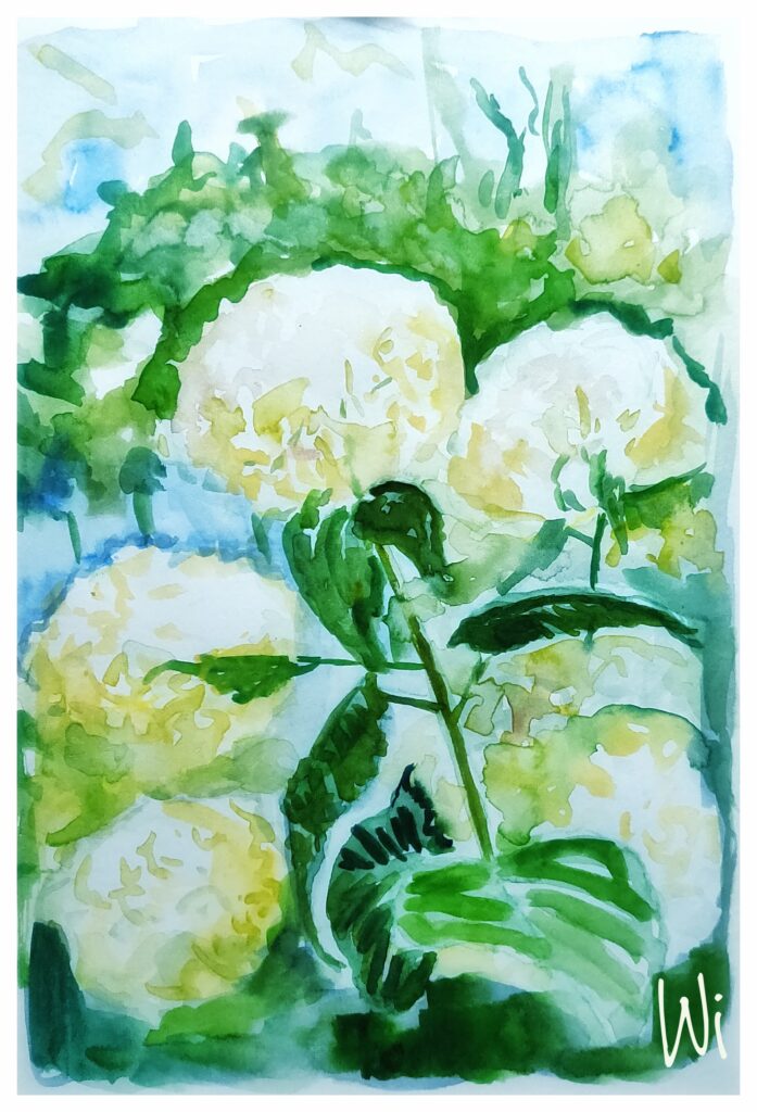 Weiße Magnolien, Wasserfarbe, Sketchbook
