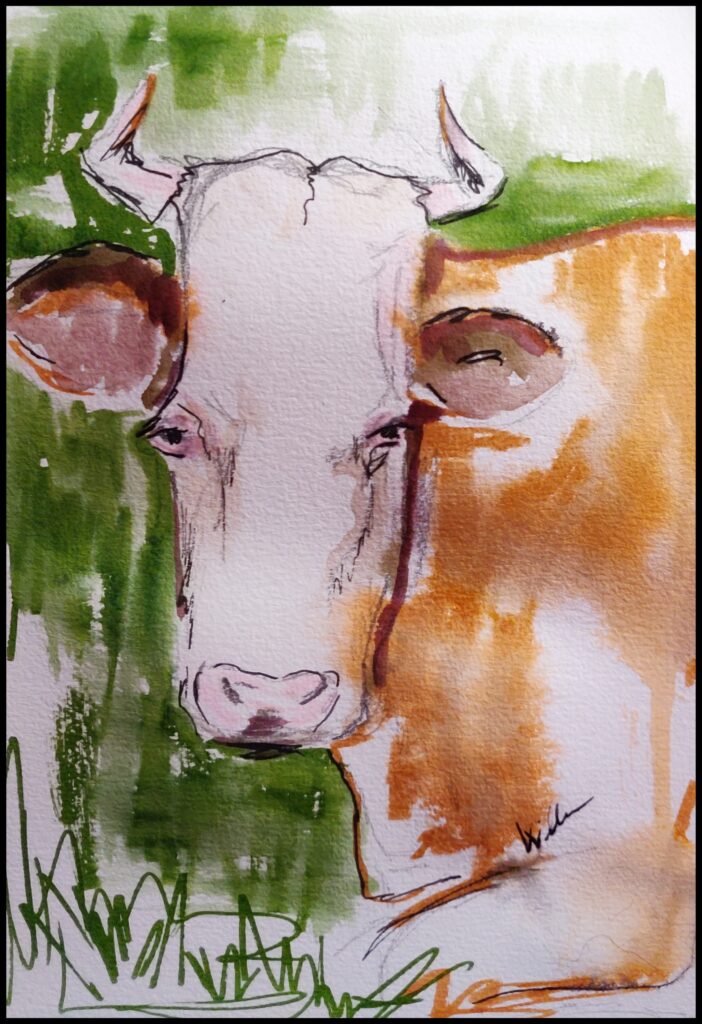 Porträt einer Kuh, Sketching